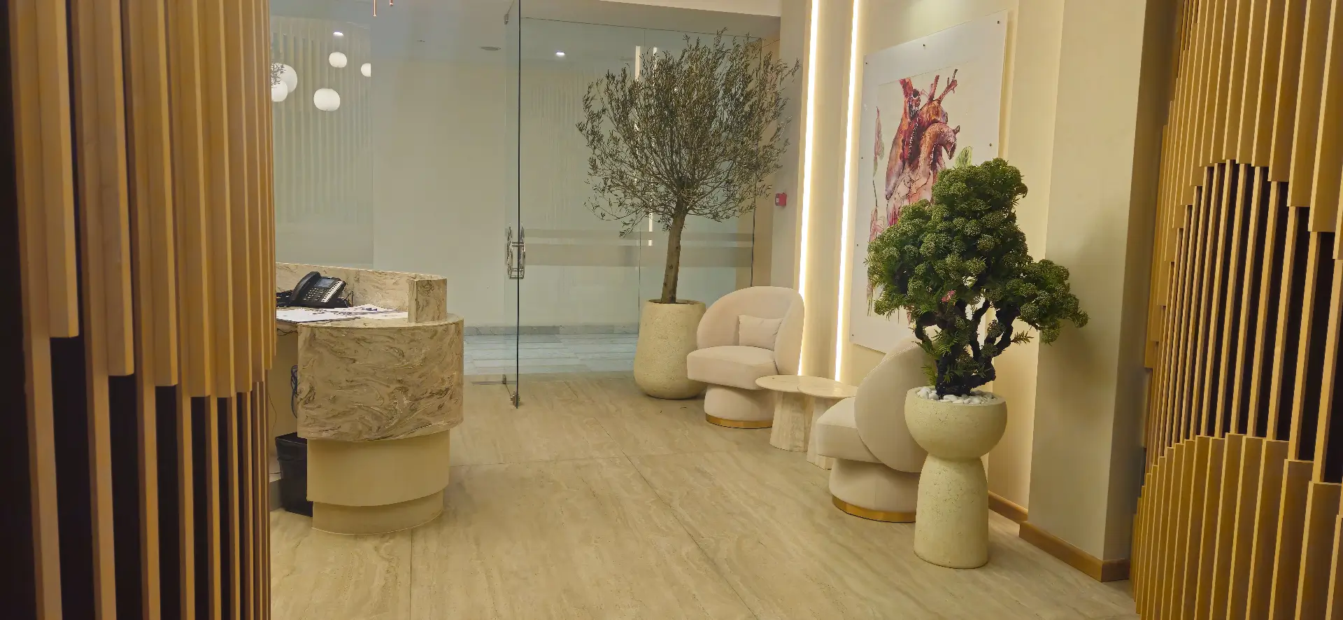 Age Back Co. Istanbul clinic